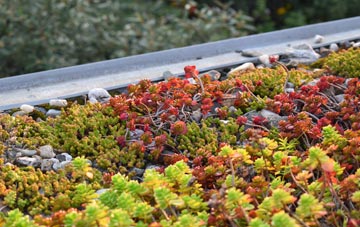the cost of Neath Port Talbot green roof installation