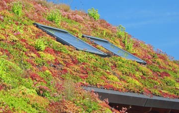 Neath Port Talbot living roof systems