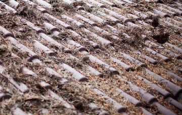 Neath Port Talbot roof cleaning companies