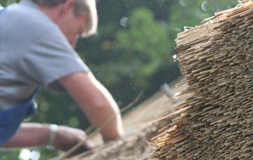 professional Neath Port Talbot thatchers