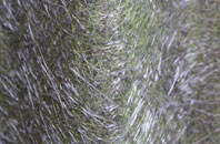 Neath Port Talbot fibreglass roof work